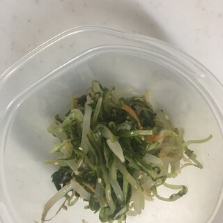サラダ水菜ともやしのお浸し╰(*´︶`*)╯♡